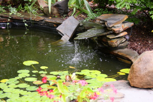 Fish pond